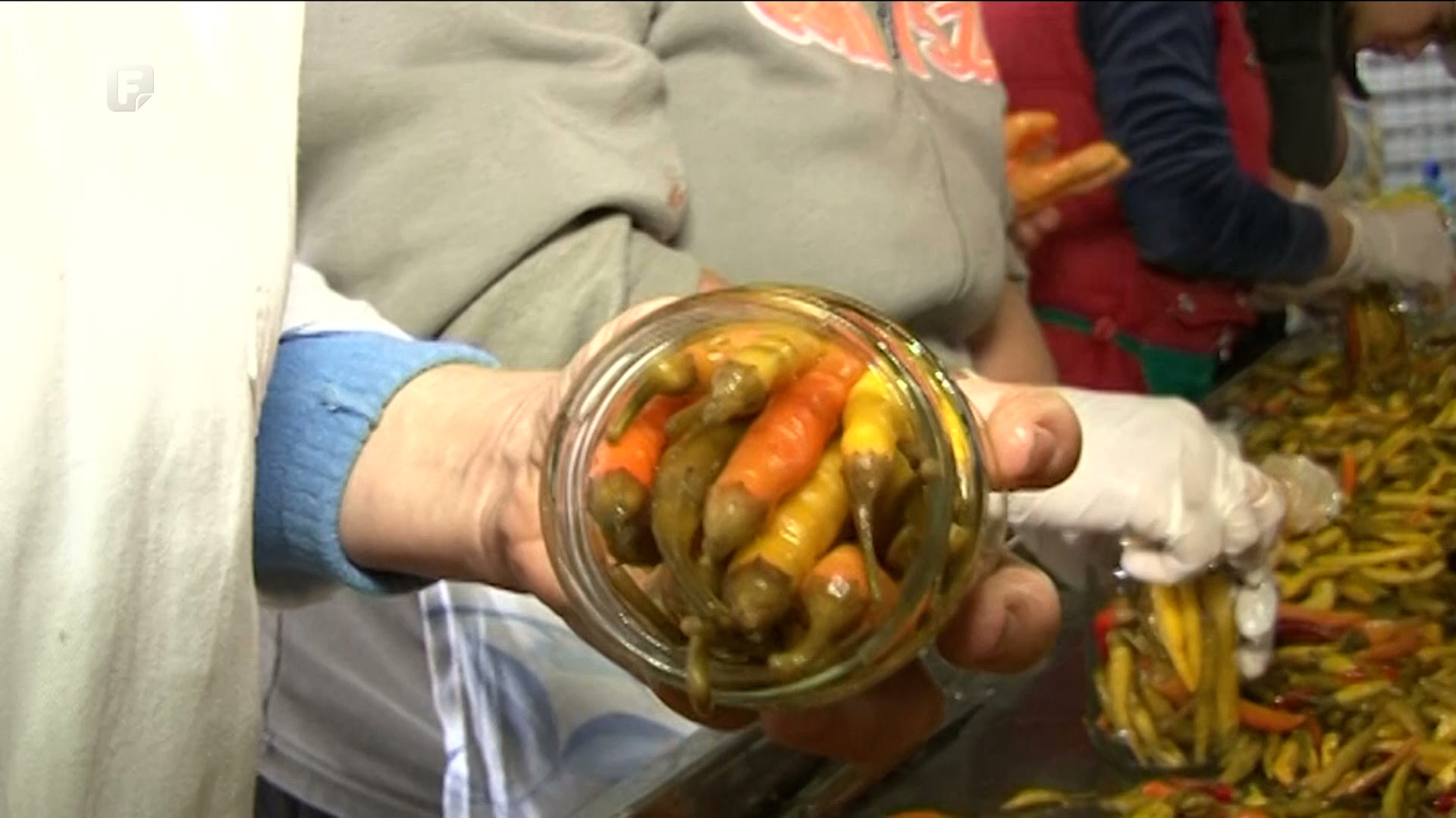 Semberski povrtlari ovih dana prave plan proljetne sjetve